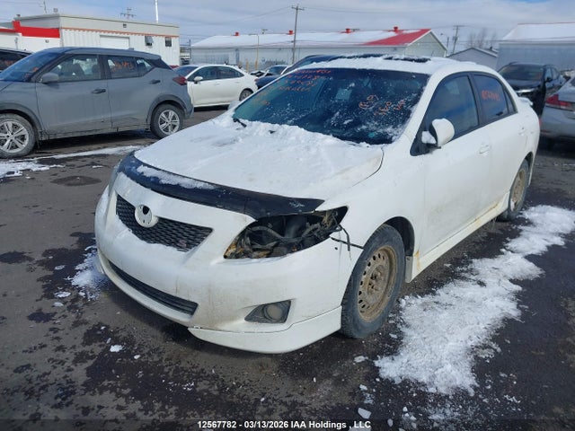 12567782 :رقم المزاد ، 2T1BU4EEXAC370288 vin ، 2010 Toyota Corolla S/le/xle مزاد بيع