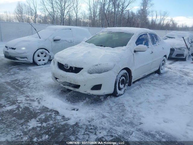 12567820 :رقم المزاد ، 2T1BU4EE7AC231459 vin ، 2010 Toyota Corolla Ce/le/s مزاد بيع