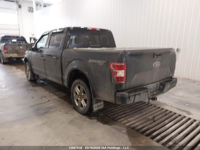 Ford F-150 Xlt 2018 1FTEW1EG0JFE12238 Image 3