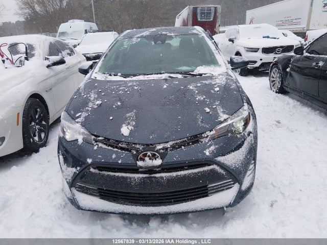 2T1BURHE9KC245759 Toyota Corolla L/le/xle/se/xse