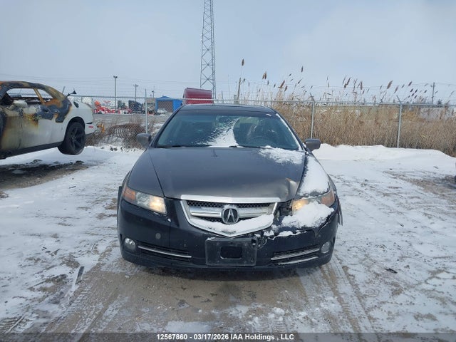 Продажа на аукционе авто 2006 Acura 3.2tl, vin: 19UUA66256A801778, номер лота: 12567860