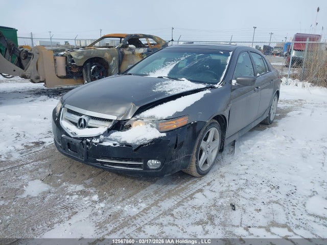 Продажа на аукционе авто 2006 Acura 3.2tl, vin: 19UUA66256A801778, номер лота: 12567860