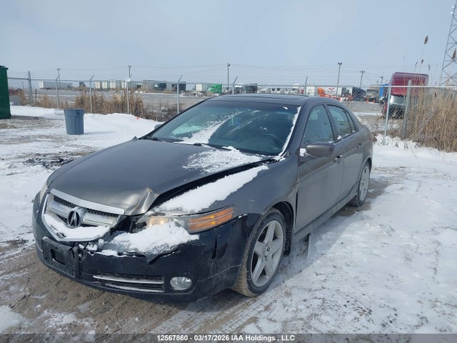 Продажа на аукционе авто 2006 Acura 3.2tl, vin: 19UUA66256A801778, номер лота: 12567860
