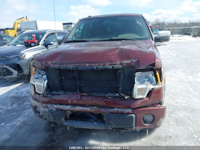 Продажа на аукционе авто 2010 Ford F-150 Fx4/harley-davidson/lariat/xlt, vin: 1FTFW1EV6AKE51071, номер лота: 12567883