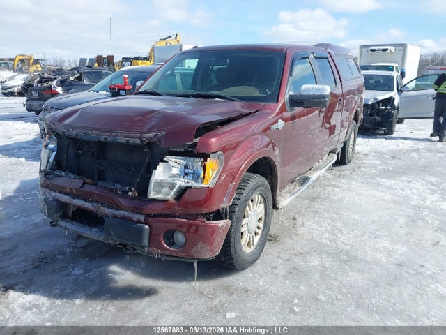 Продажа на аукционе авто 2010 Ford F-150 Fx4/harley-davidson/lariat/xlt, vin: 1FTFW1EV6AKE51071, номер лота: 12567883
