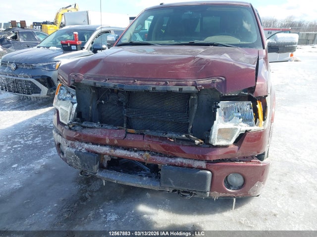 Продажа на аукционе авто 2010 Ford F-150 Fx4/harley-davidson/lariat/xlt, vin: 1FTFW1EV6AKE51071, номер лота: 12567883