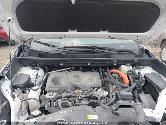 12567889 :رقم المزاد ، 2T3BWRFV8SW279842 vin ، 2025 Toyota Rav4 Le مزاد بيع