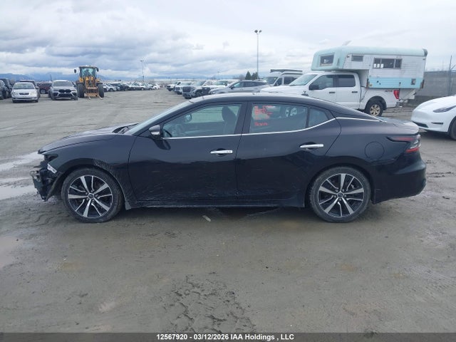 Продажа на аукционе авто 2023 Nissan Maxima Sl, vin: 1N4AA6DV1PC510348, номер лота: 12567920