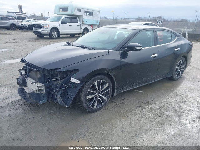 Продажа на аукционе авто 2023 Nissan Maxima Sl, vin: 1N4AA6DV1PC510348, номер лота: 12567920