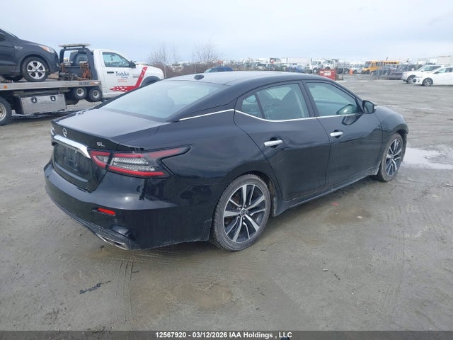 Продажа на аукционе авто 2023 Nissan Maxima Sl, vin: 1N4AA6DV1PC510348, номер лота: 12567920