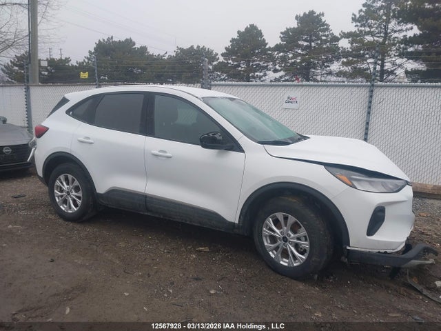 2025 Ford Escape Active მანქანა იყიდება აუქციონზე, vin: 1FMCU9GNXSUB06180, აუქციონის ნომერი: 12567928