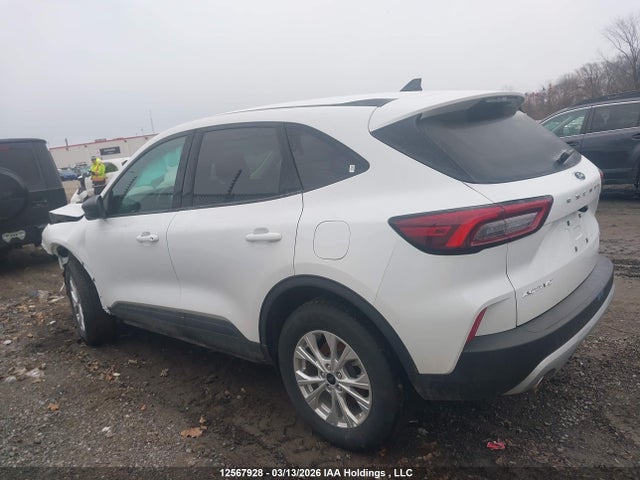 2025 Ford Escape Active მანქანა იყიდება აუქციონზე, vin: 1FMCU9GNXSUB06180, აუქციონის ნომერი: 12567928
