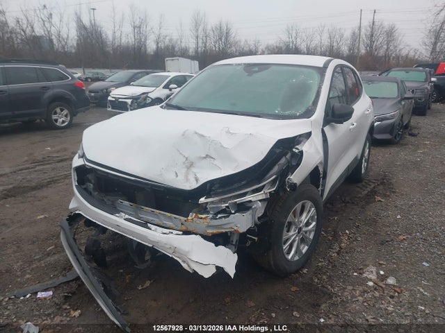 2025 Ford Escape Active მანქანა იყიდება აუქციონზე, vin: 1FMCU9GNXSUB06180, აუქციონის ნომერი: 12567928