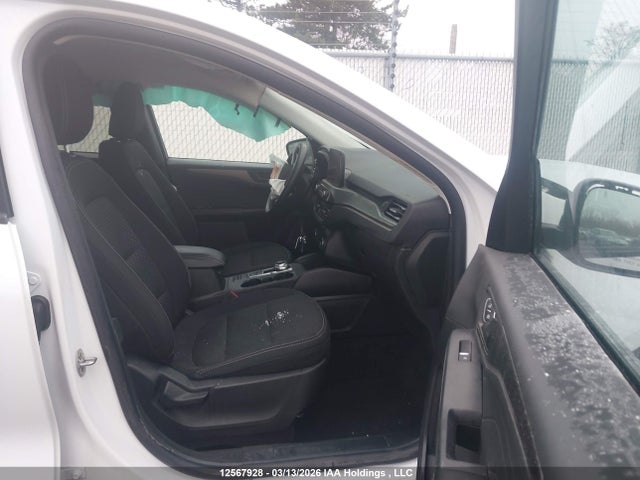 2025 Ford Escape Active მანქანა იყიდება აუქციონზე, vin: 1FMCU9GNXSUB06180, აუქციონის ნომერი: 12567928