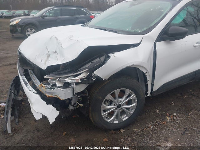 2025 Ford Escape Active მანქანა იყიდება აუქციონზე, vin: 1FMCU9GNXSUB06180, აუქციონის ნომერი: 12567928