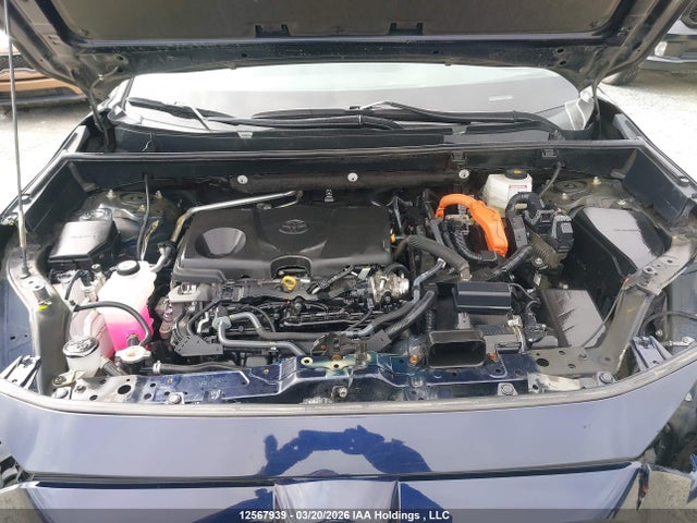 2T3RWRFV8PW177009 Toyota Rav4 Xle/woodland Edition