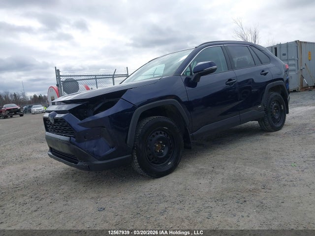 2T3RWRFV8PW177009 Toyota Rav4 Xle/woodland Edition