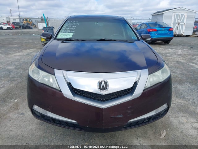 Aukcja sprzedaży 2009 Acura Tl, vin: 19UUA86239A800497, numer aukcji: 12567979