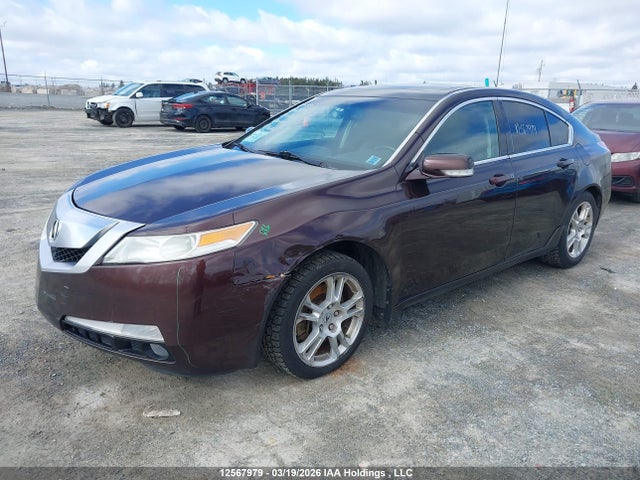 Aukcja sprzedaży 2009 Acura Tl, vin: 19UUA86239A800497, numer aukcji: 12567979