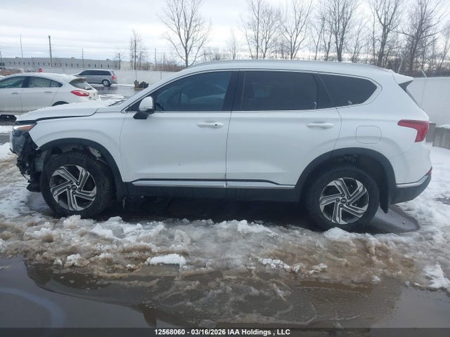 2021 Hyundai Santa Fe Sel მანქანა იყიდება აუქციონზე, vin: 5NMS3DAJ9MH324939, აუქციონის ნომერი: 12568060