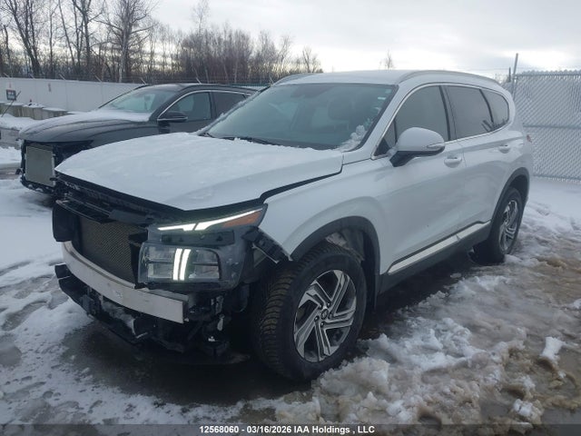 2021 Hyundai Santa Fe Sel მანქანა იყიდება აუქციონზე, vin: 5NMS3DAJ9MH324939, აუქციონის ნომერი: 12568060