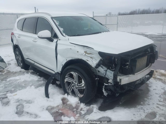 2021 Hyundai Santa Fe Sel მანქანა იყიდება აუქციონზე, vin: 5NMS3DAJ9MH324939, აუქციონის ნომერი: 12568060