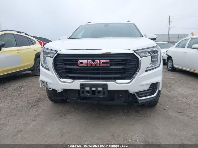 3GKALTEG2RL335008 GMC Terrain Sle