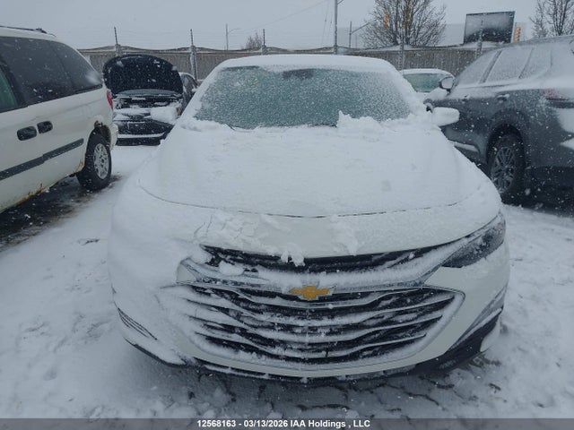 1G1ZD5ST3PF231619 Chevrolet MALIBU LT