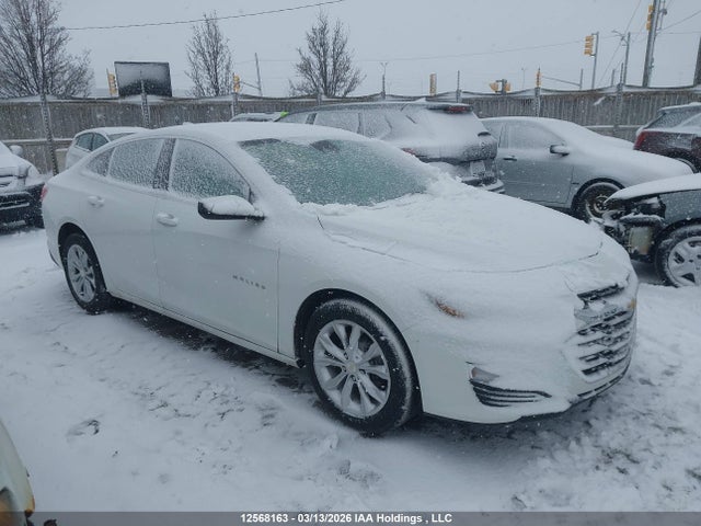 1G1ZD5ST3PF231619 Chevrolet MALIBU LT