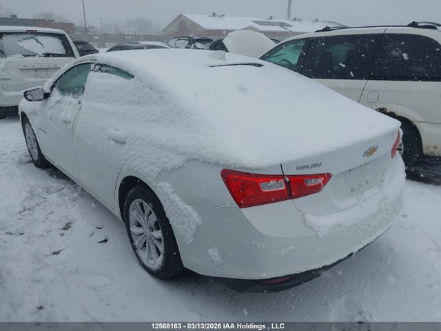 1G1ZD5ST3PF231619 Chevrolet MALIBU LT