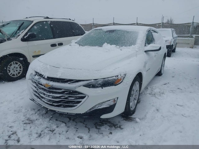 1G1ZD5ST3PF231619 Chevrolet MALIBU LT