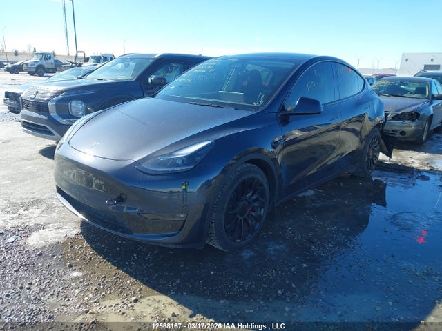 12568167 :رقم المزاد ، 7SAYGDEF2SF216541 vin ، 2025 Tesla Model Y Performance مزاد بيع