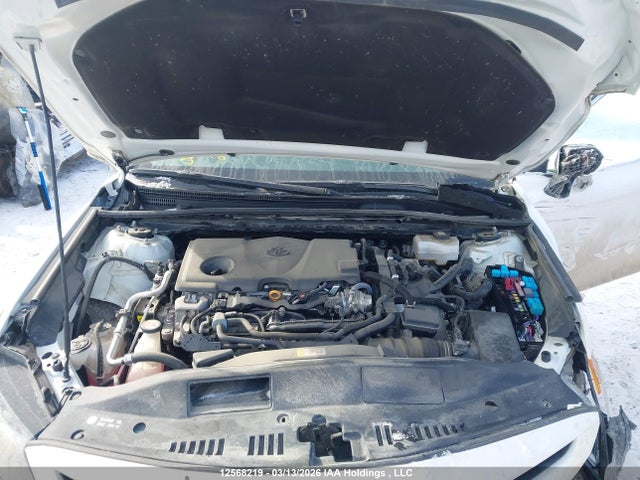 4T1B21HKXPU019782 Toyota Camry Xle/se