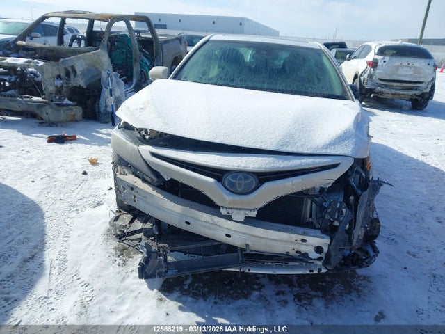 4T1B21HKXPU019782 Toyota Camry Xle/se