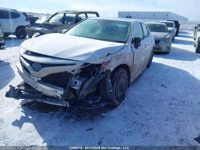 4T1B21HKXPU019782 Toyota Camry Xle/se
