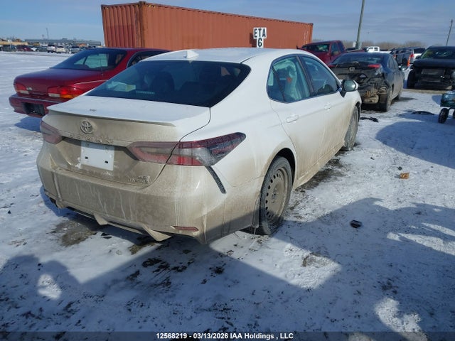 4T1B21HKXPU019782 Toyota Camry Xle/se