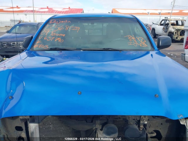12568229 :رقم المزاد ، 5TEUX42N29Z637790 vin ، 2009 Toyota Tacoma Access Cab مزاد بيع