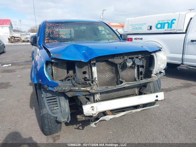 12568229 :رقم المزاد ، 5TEUX42N29Z637790 vin ، 2009 Toyota Tacoma Access Cab مزاد بيع
