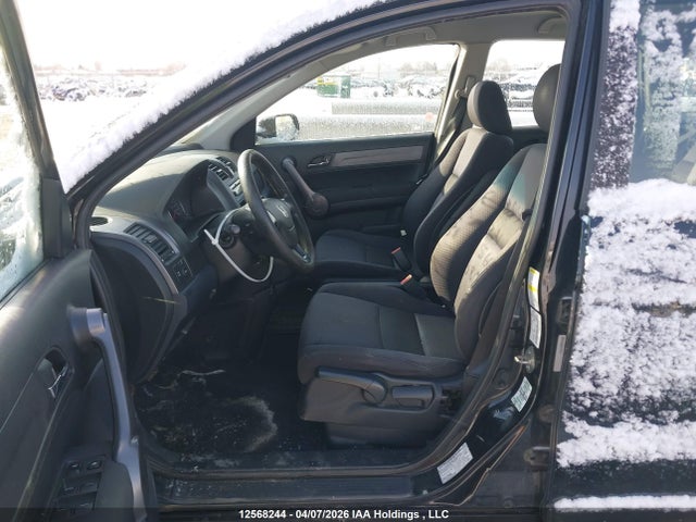 Aukcja sprzedaży 2009 Honda Cr-v Lx, vin: 5J6RE483X9L811566, numer aukcji: 12568244