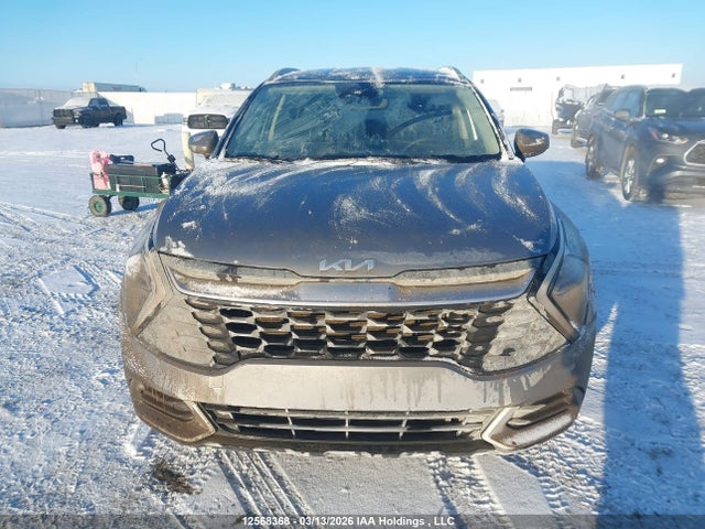 Продажа на аукционе авто 2023 Kia Sportage Lx, vin: KNDPUCAF7P7081149, номер лота: 12568368
