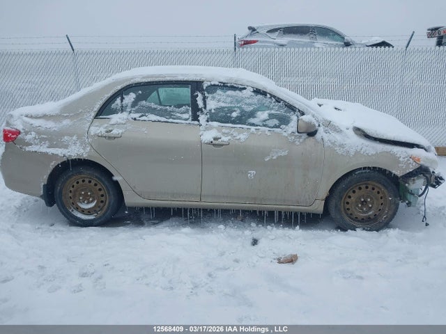 2010 Toyota Corolla S/le/xle მანქანა იყიდება აუქციონზე, vin: 2T1BU4EE9AC275284, აუქციონის ნომერი: 12568409