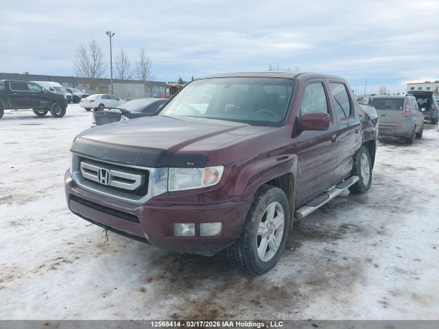 2010 Honda Ridgeline Rtl მანქანა იყიდება აუქციონზე, vin: 5FPYK1F56AB501099, აუქციონის ნომერი: 12568414