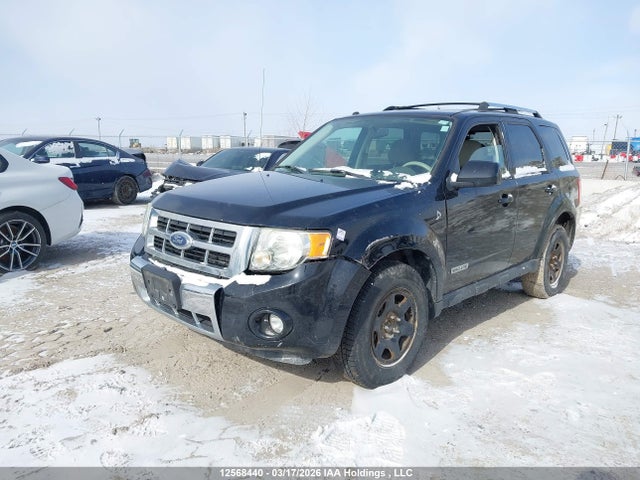 2008 Ford Escape Hybrid მანქანა იყიდება აუქციონზე, vin: 1FMCU49H68KE81319, აუქციონის ნომერი: 12568440