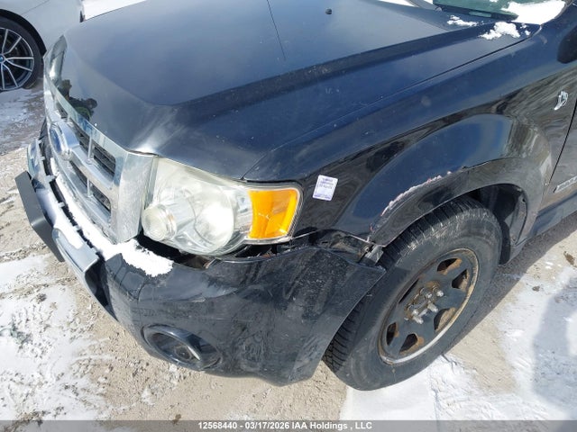 2008 Ford Escape Hybrid მანქანა იყიდება აუქციონზე, vin: 1FMCU49H68KE81319, აუქციონის ნომერი: 12568440