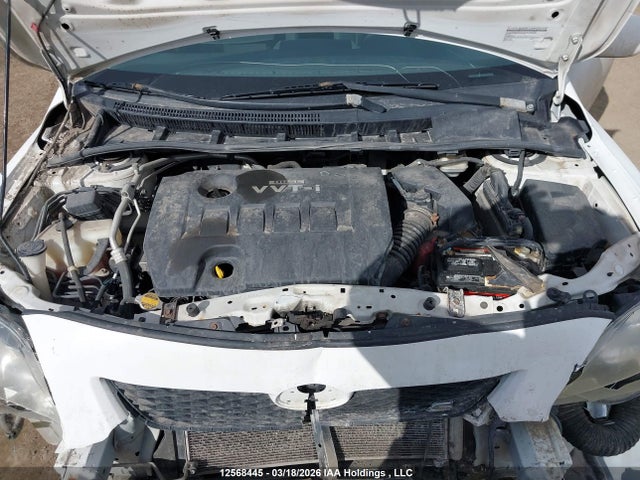 12568445 :رقم المزاد ، 2T1BU40E09C037083 vin ، 2009 Toyota Corolla S مزاد بيع
