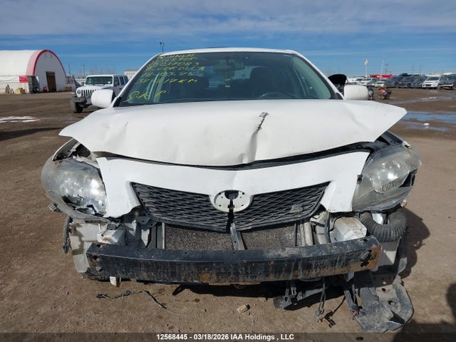 12568445 :رقم المزاد ، 2T1BU40E09C037083 vin ، 2009 Toyota Corolla S مزاد بيع