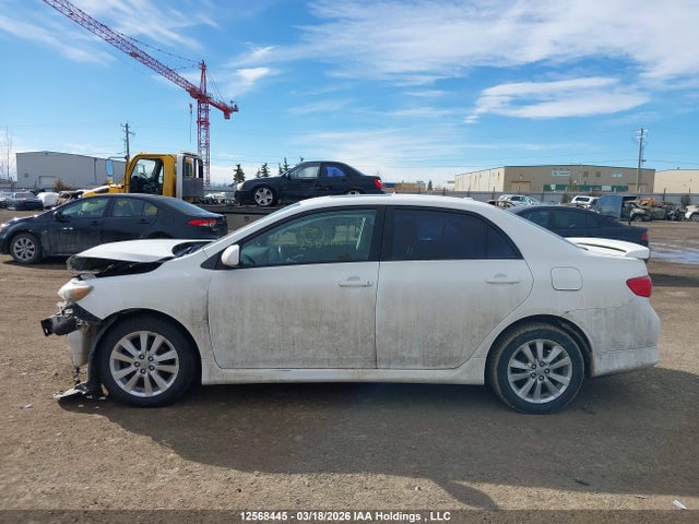 12568445 :رقم المزاد ، 2T1BU40E09C037083 vin ، 2009 Toyota Corolla S مزاد بيع