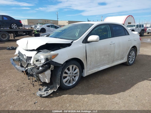 12568445 :رقم المزاد ، 2T1BU40E09C037083 vin ، 2009 Toyota Corolla S مزاد بيع