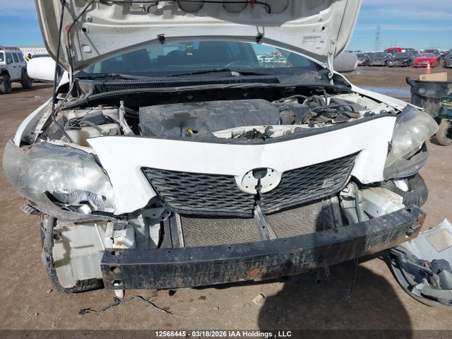 12568445 :رقم المزاد ، 2T1BU40E09C037083 vin ، 2009 Toyota Corolla S مزاد بيع