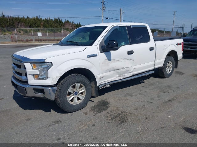Aukcja sprzedaży 2015 Ford F-150 Xlt, vin: 1FTFW1EF3FKE92600, numer aukcji: 12568457